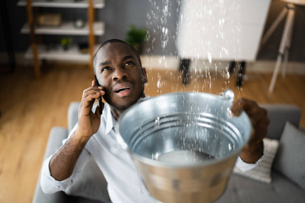 Best Carpet water damage restoration  in Saxapahaw, NC