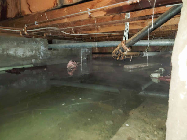  Saxapahaw, NC Water damage restoration Pros