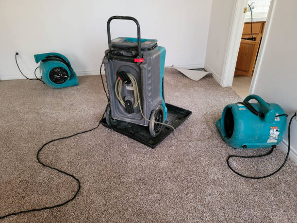 Best Water damage restoration near me  in Saxapahaw, NC