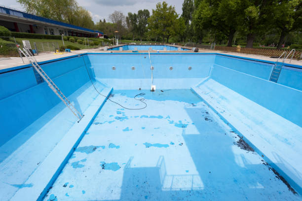 Best Water damage restoration mold remediation  in Saxapahaw, NC