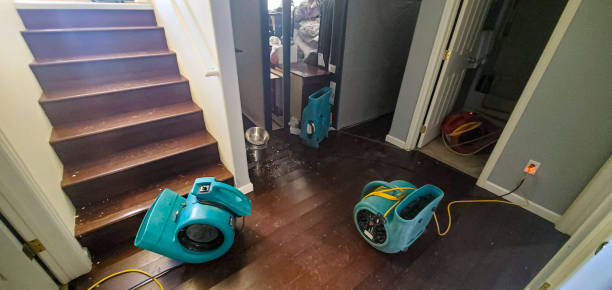 Best Flood damage cleanup  in Saxapahaw, NC
