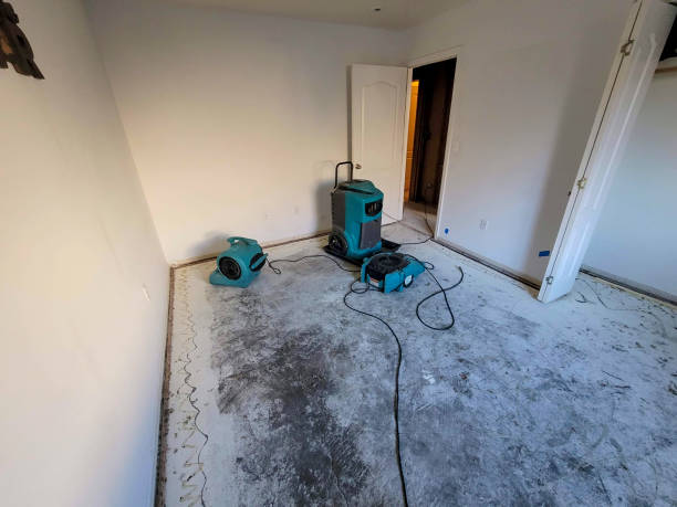 Best Mold removal after water damage  in Saxapahaw, NC