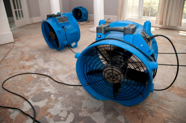 Best Residential water damage restoration  in Saxapahaw, NC