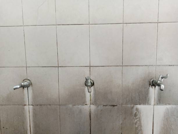 Best 24-hour water damage restoration  in Saxapahaw, NC
