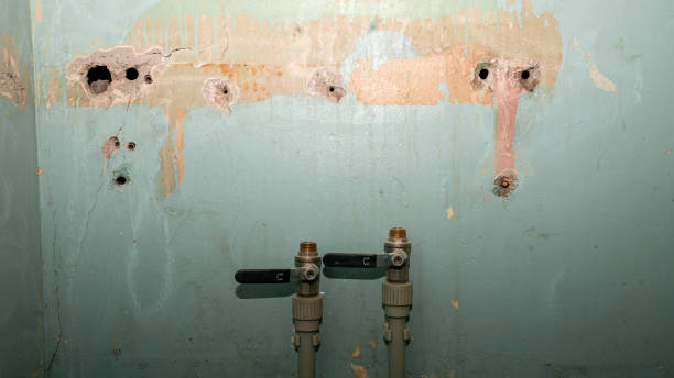 Best Water damage restoration services  in Saxapahaw, NC