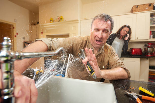 Best Professional water damage repair  in Saxapahaw, NC